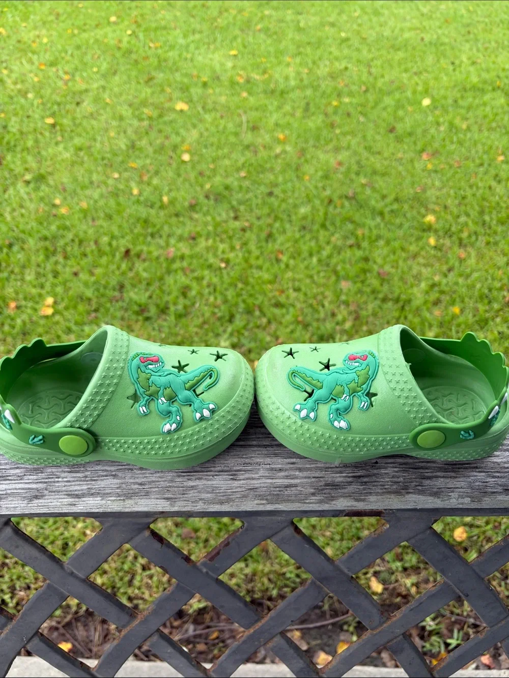 Croc Like  Sandals For Kids with Dino Accent Size 7/8